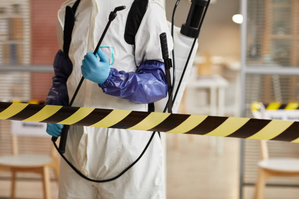 Professional Sewage Cleanup technician working in De Leon Springs, FL
