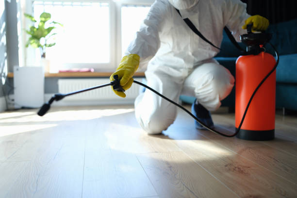 Trusted Sewage Cleanup service in De Leon Springs, FL - Four Month Blood Cleanse